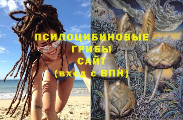 PSILOCYBIN Липки