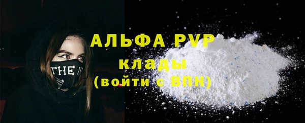 PSILOCYBIN Липки