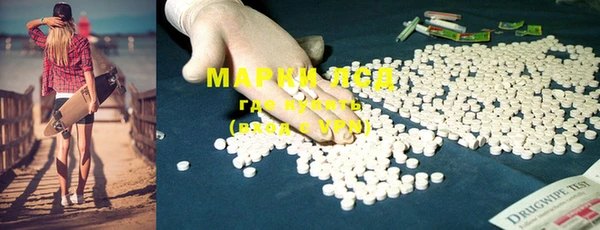 PSILOCYBIN Липки