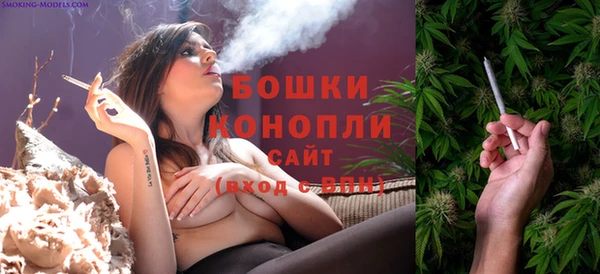 PSILOCYBIN Липки