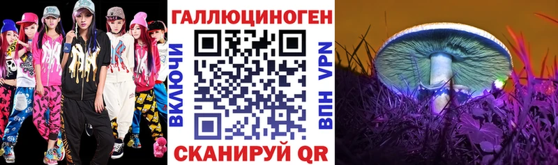 Купить закладки  Железноводск  Псилоцибиновые грибы Psilocybine cubensis 